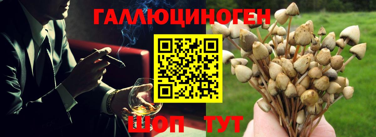 Нижнеудинск  Псилоцибиновые грибы GOLDEN TEACHER  Псилоцибиновые грибы MAGIC MUSHROOMS  Вход с VPN 